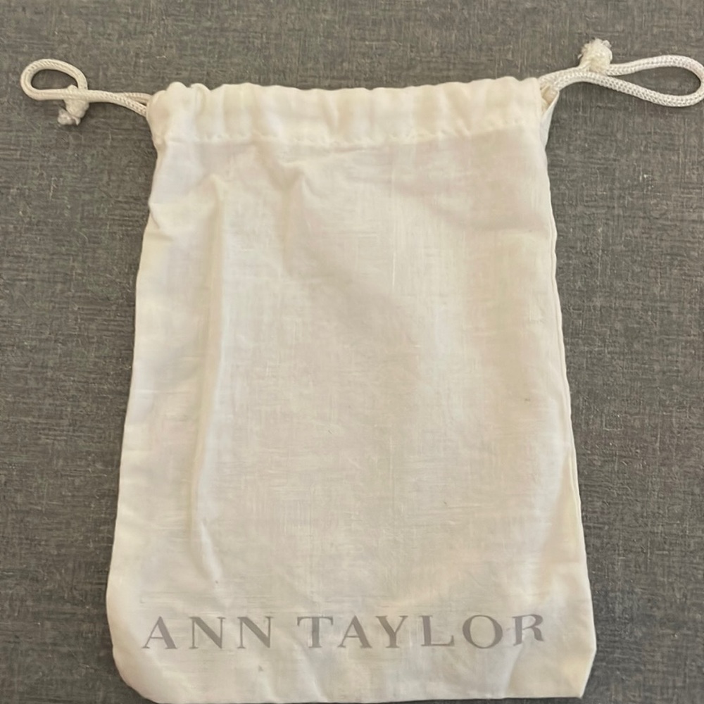 Ann Taylor dust bag